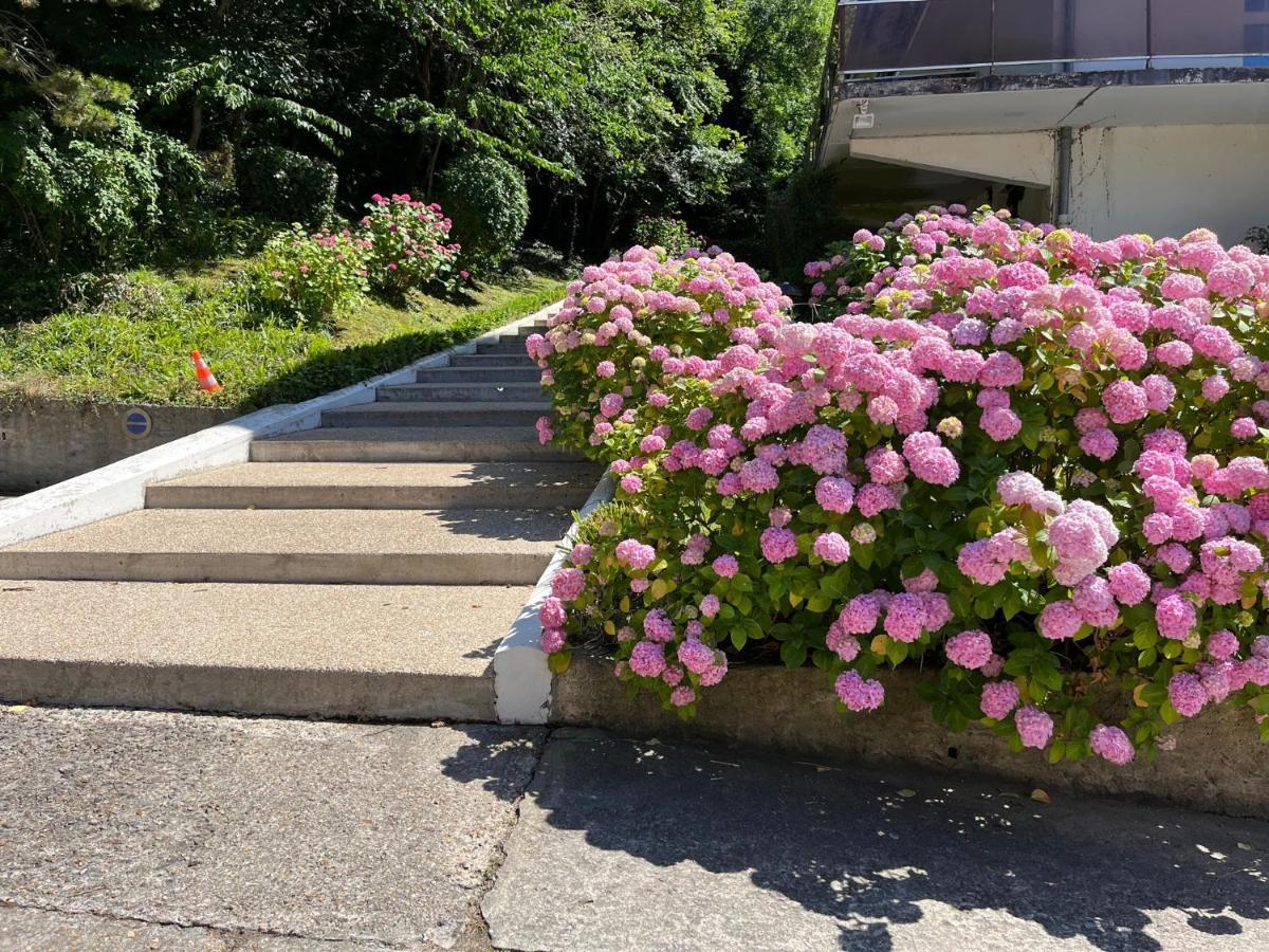 Trouville, Appartement Renove Avec Grande Terrasse Au Calme Exterior foto